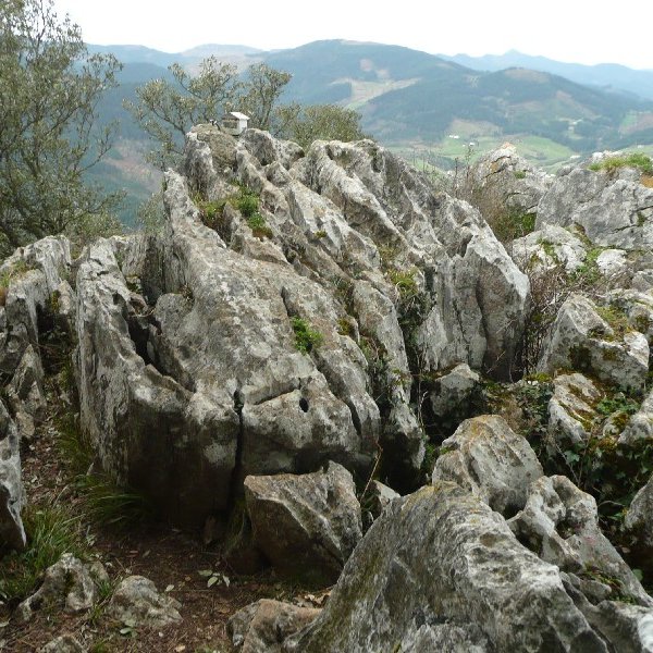 Tontorra