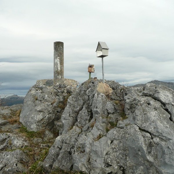 Tontorra