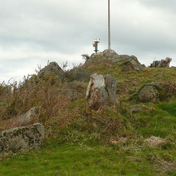 Tontorra