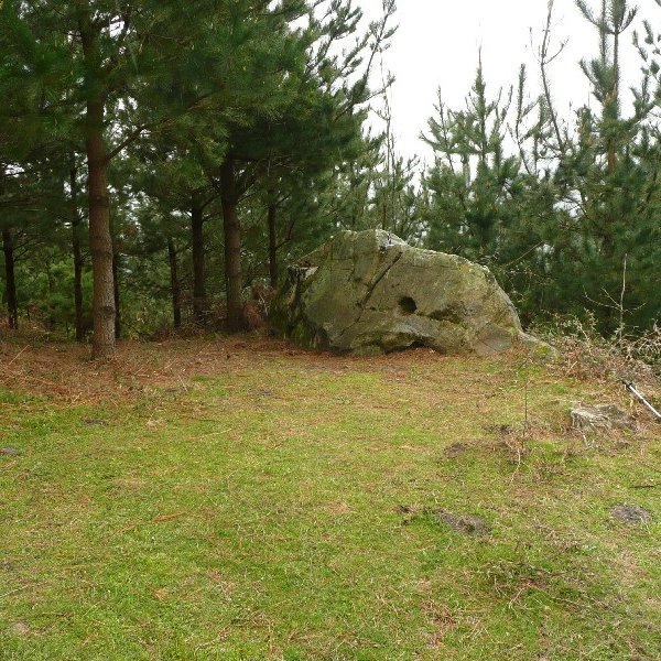 Tontorra