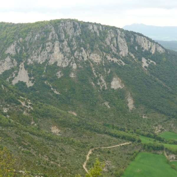 Astenbelarra