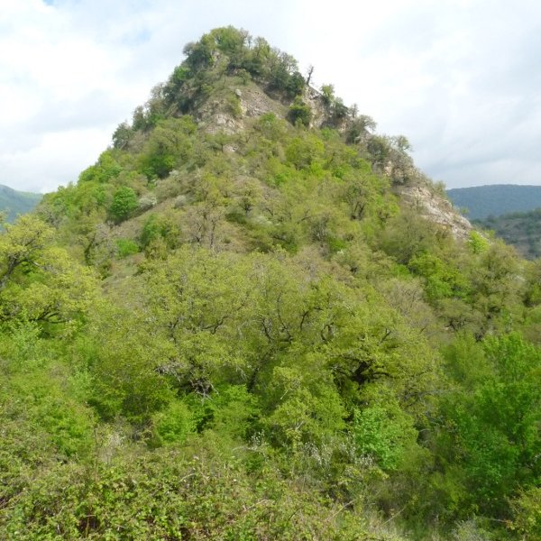 Castillo