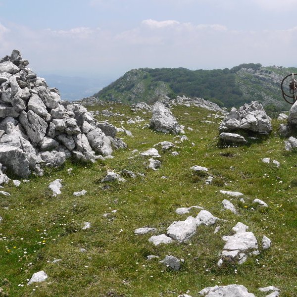 Tontorra