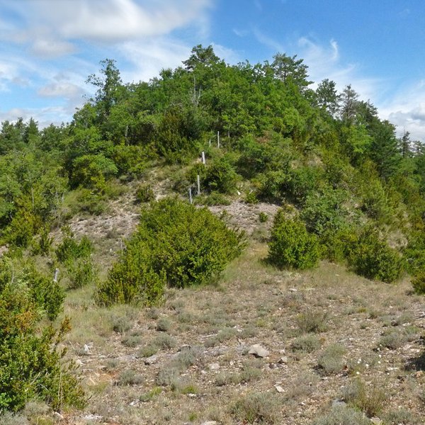 Ereta gaina