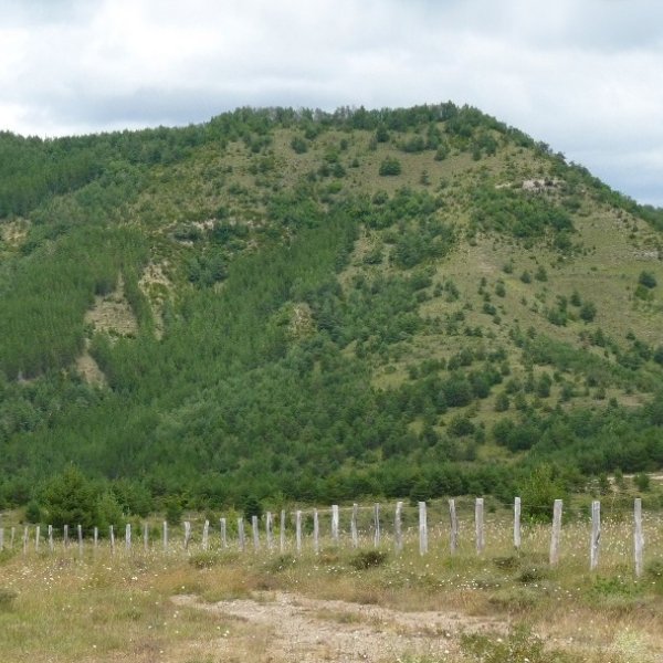 Biska Anzalitik