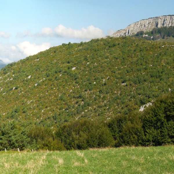 Bonbagaina