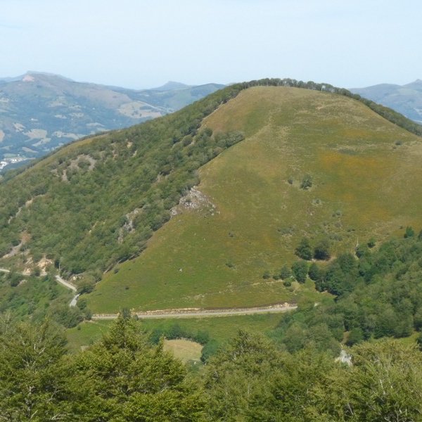 Trepako Kaskoa