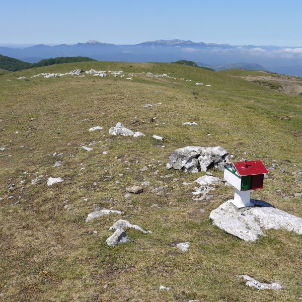 Tontorra