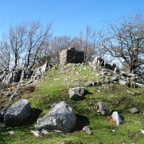 Tontorra