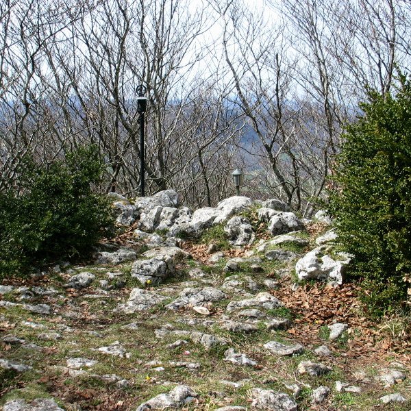 Tontorra