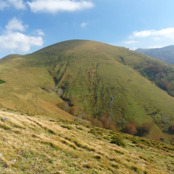 Mendibila