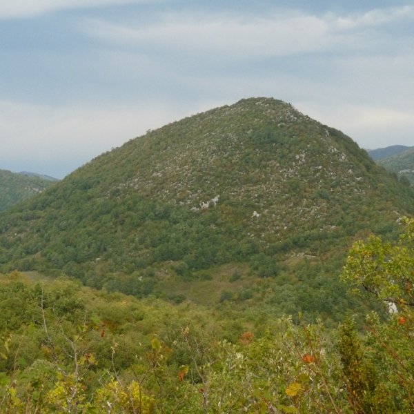 Pettuberro