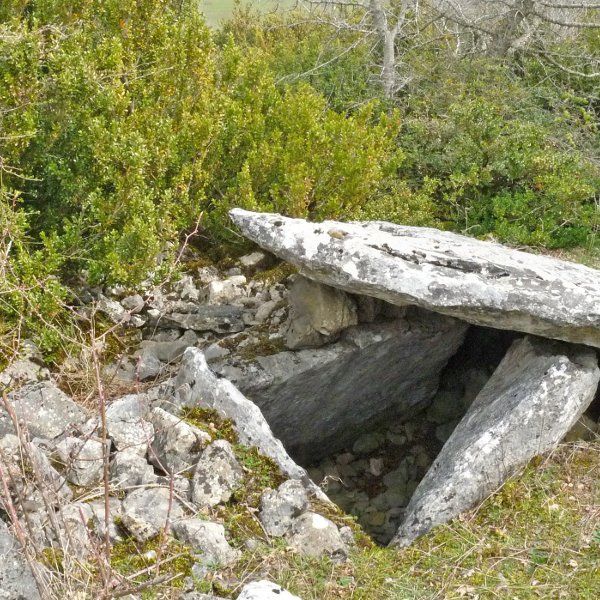 Ardaitz I