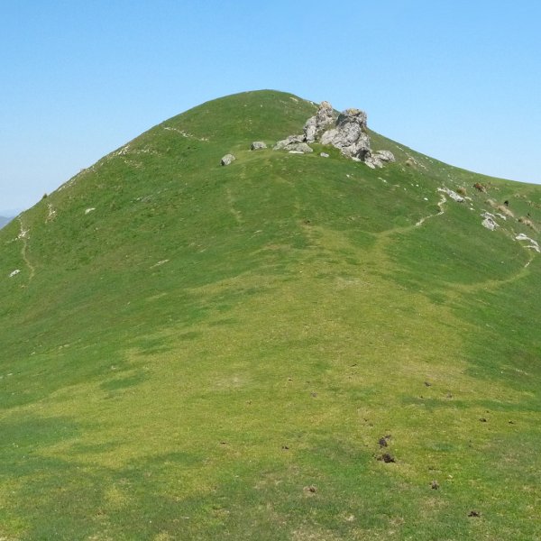 Lupuzuri