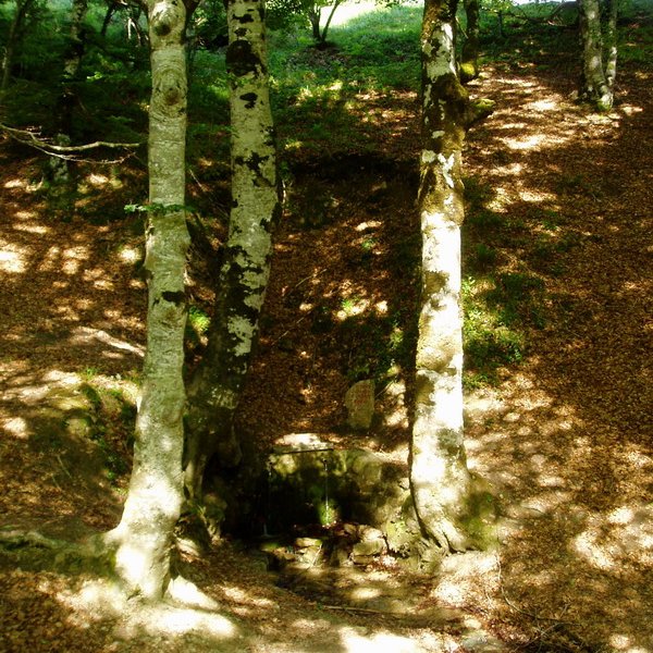 El Arenalgo iturria