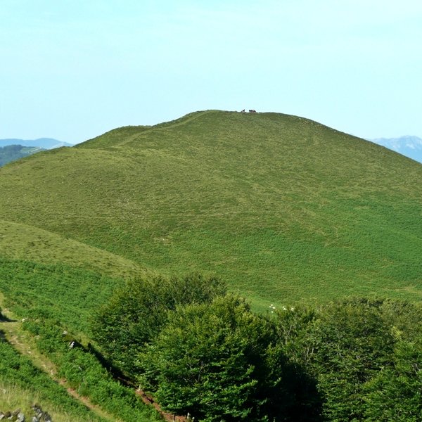 Iruñarri