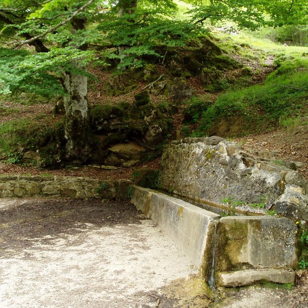 Arafeko iturria