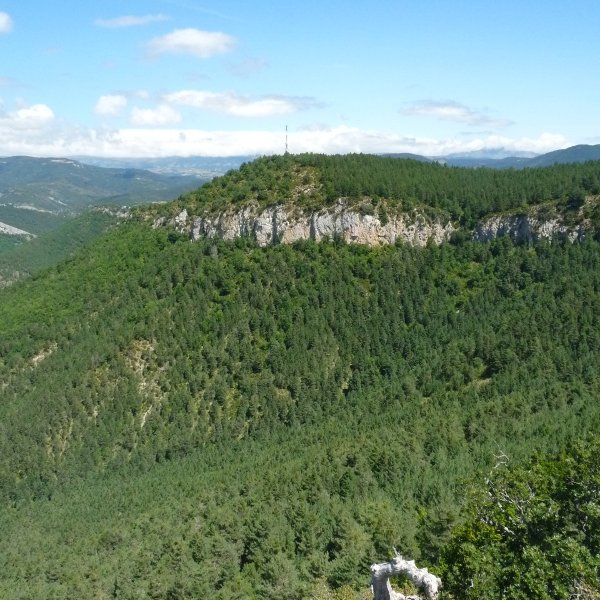 Arabarko Arzokoatik