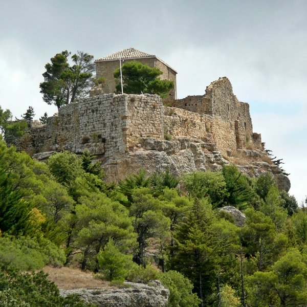 Harresia