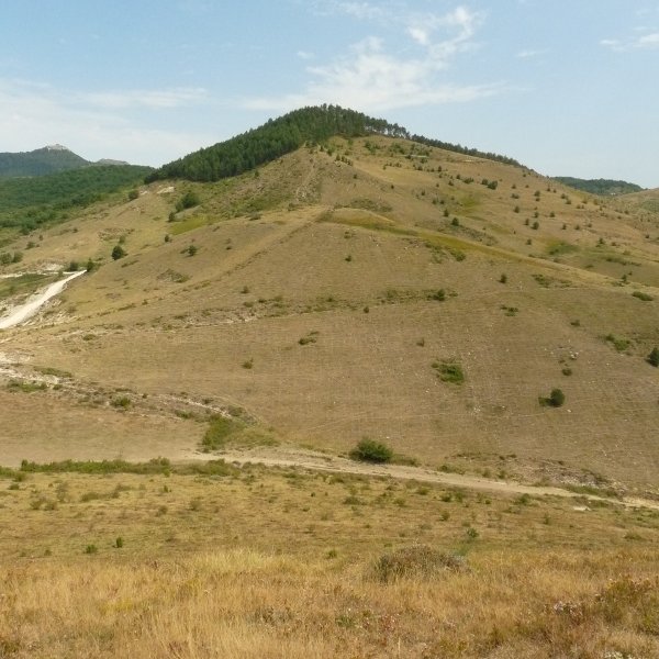Izketa