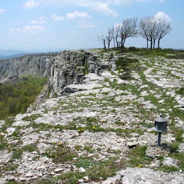 Buzoia eta tontorra