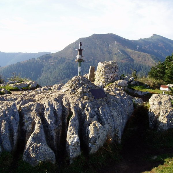 Tontorra