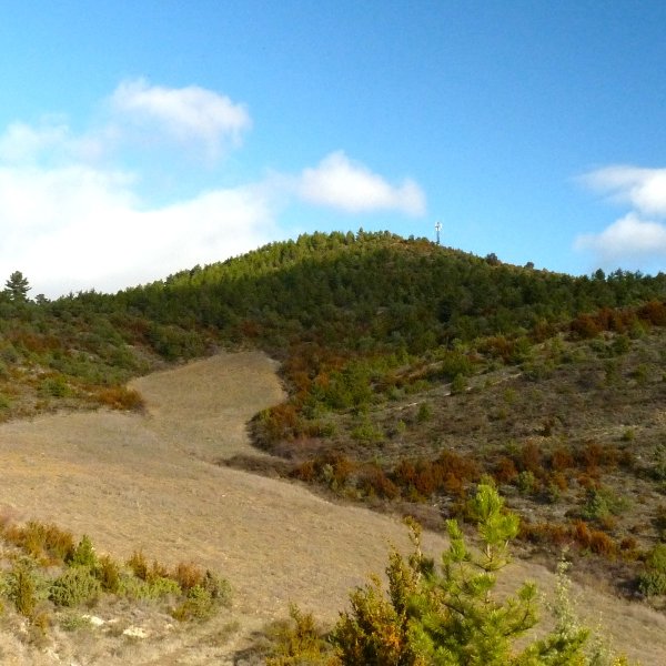 Axarimendia