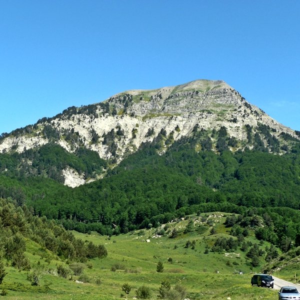 Linzatik