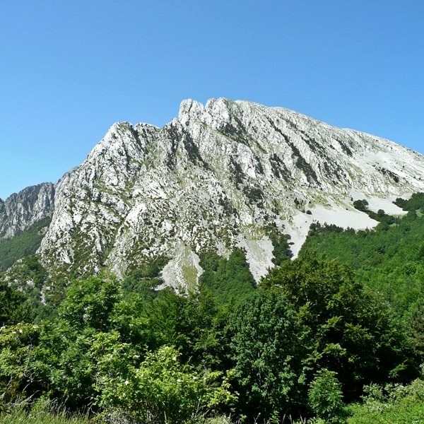 Ezkaurre
