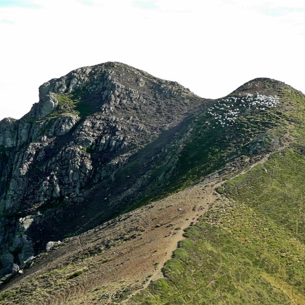 Lakhura