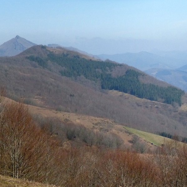 Lexarburu