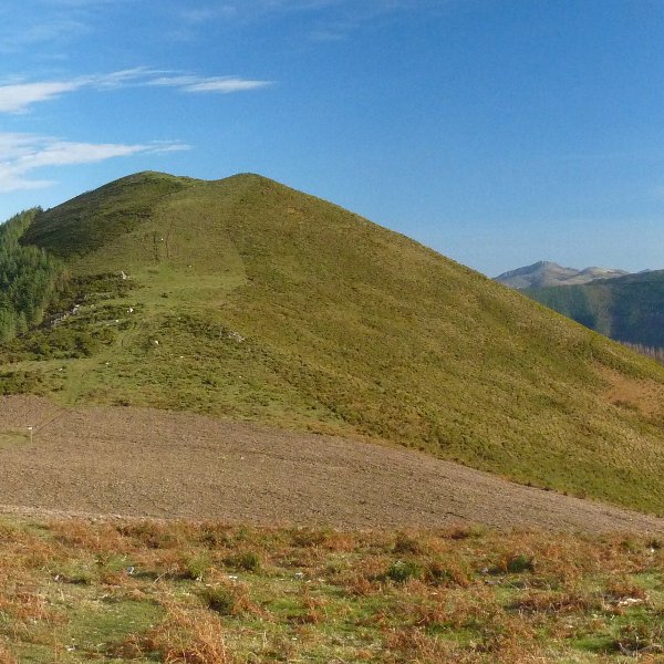 Apaola