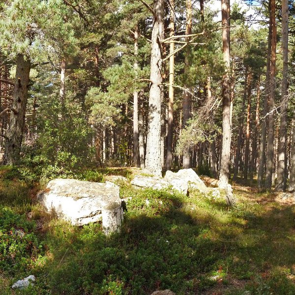 Grumaloko gailurra