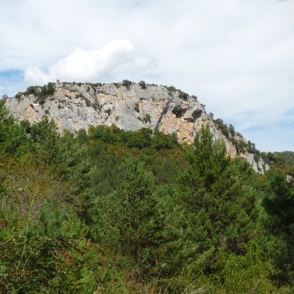 Arrigorria