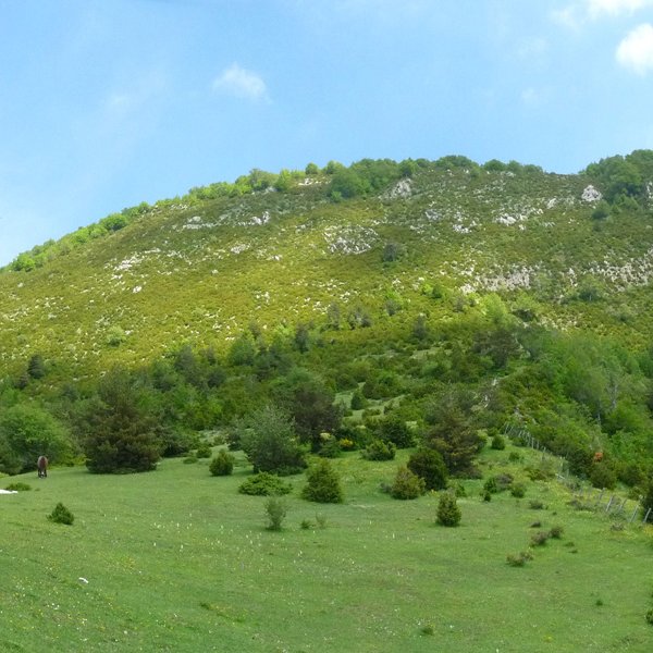 Maitza hegoaldetik