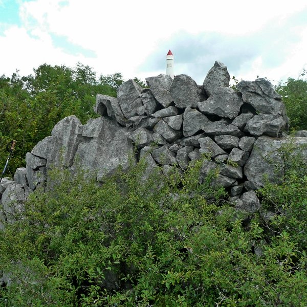 Tontorra