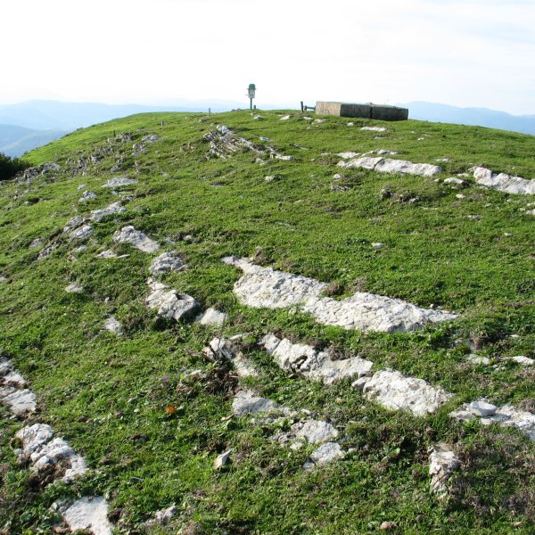 Tontorra