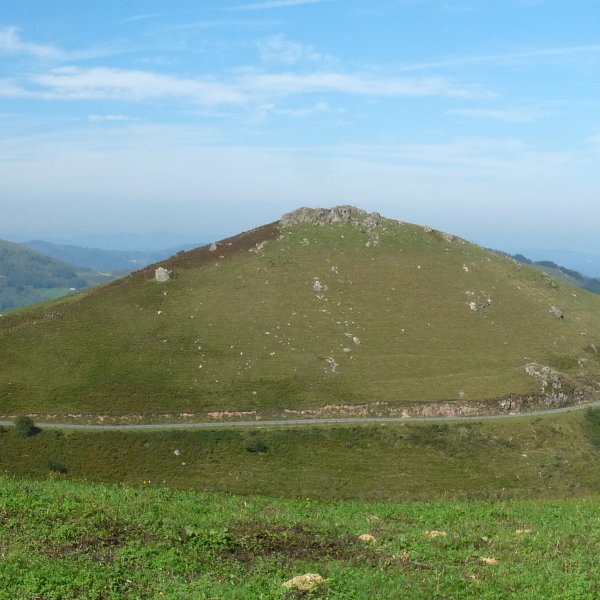 Urlegi gaina