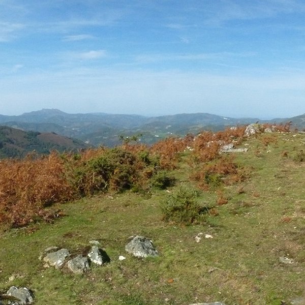 Bagoleako gailurra