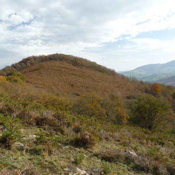 Amaburu