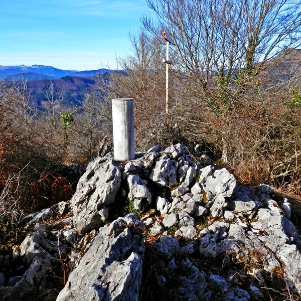 Tontorra
