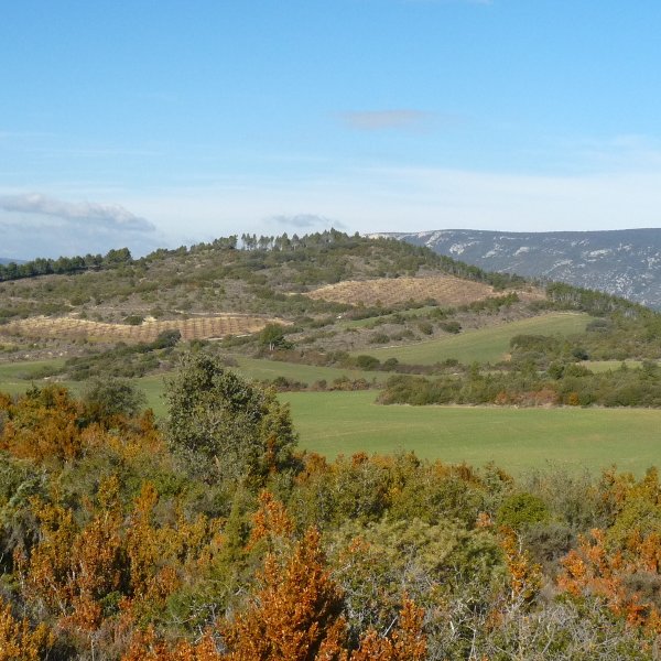 Ugarte