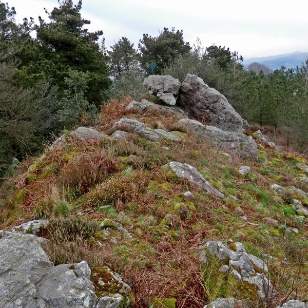 Tontorra