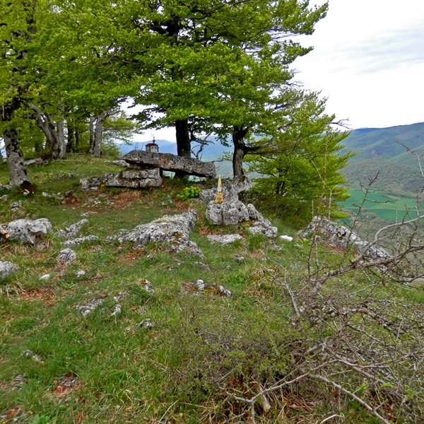 Tontorra