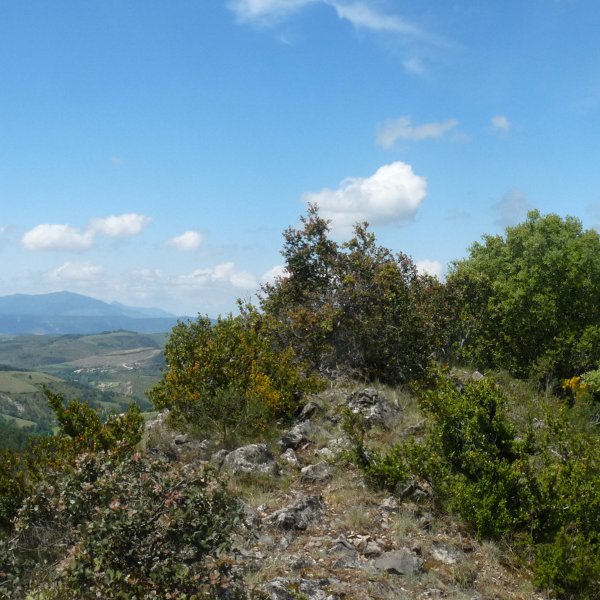 Ekurengo gailurra