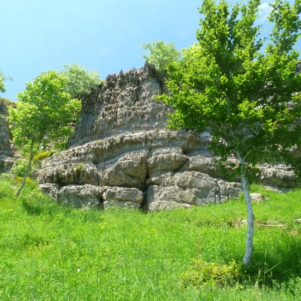 Gartxoten harpea