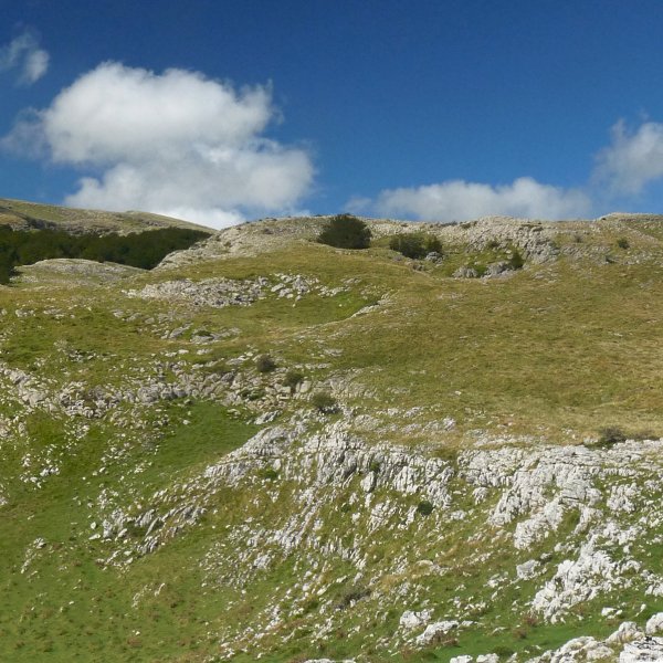Leuzaundiko gainak