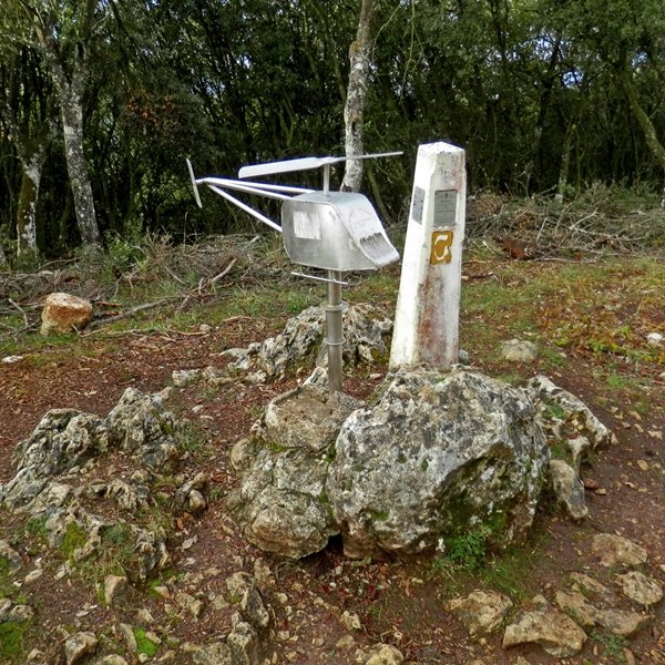Tontorra