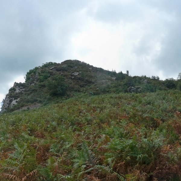 Lartzinen malkarrak