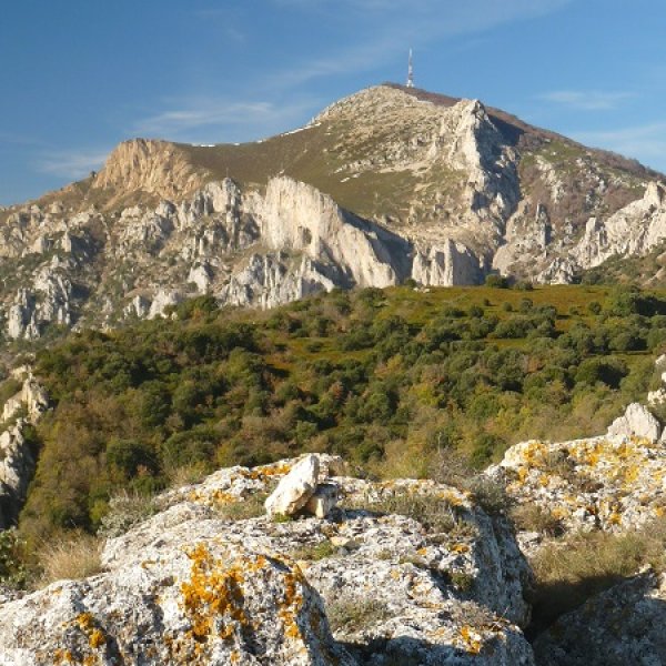 Malpikako gailurra